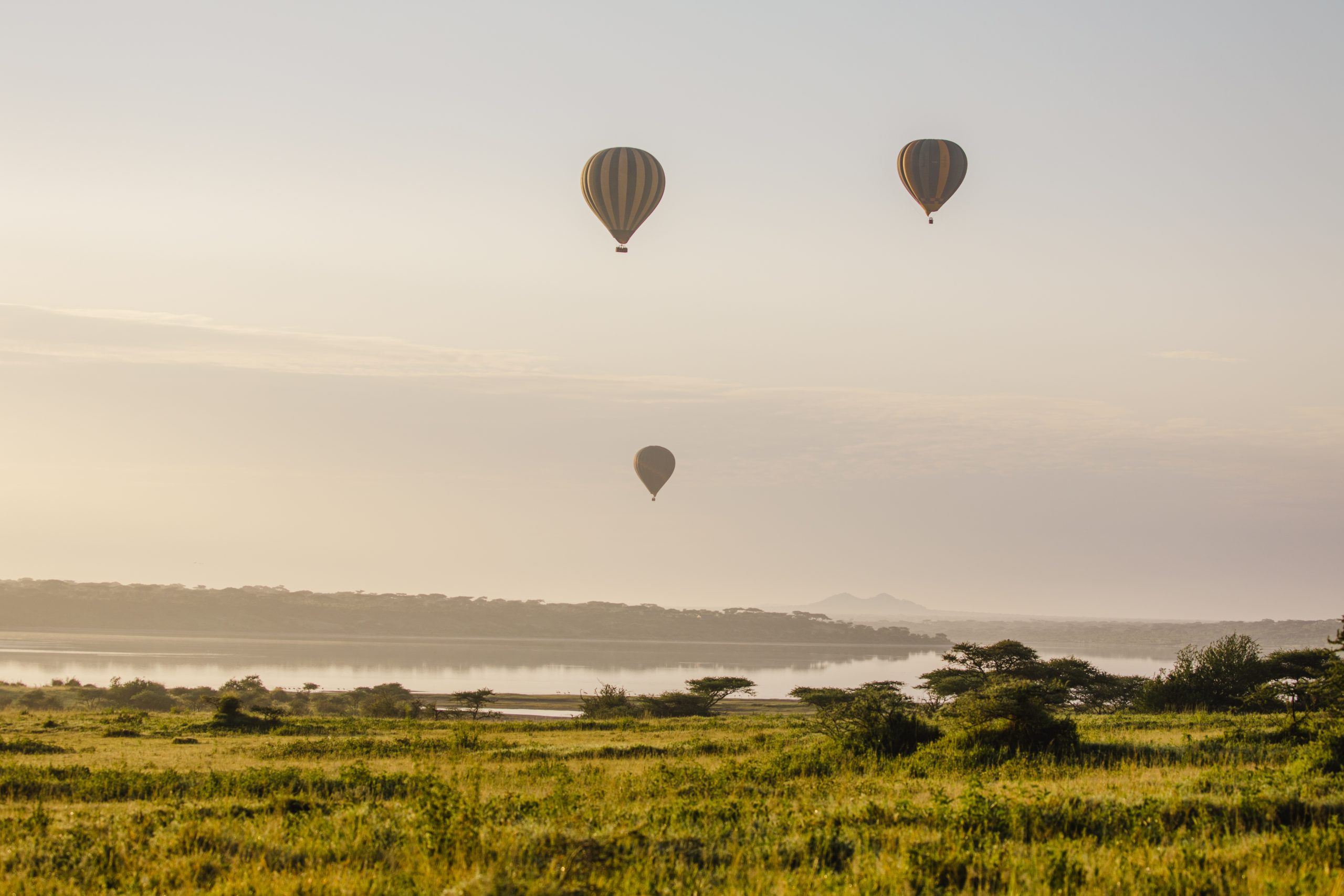 Northern Serengeti (Full Day) – 13-Day Mkomazi, Lake Natron & Serengeti Safari