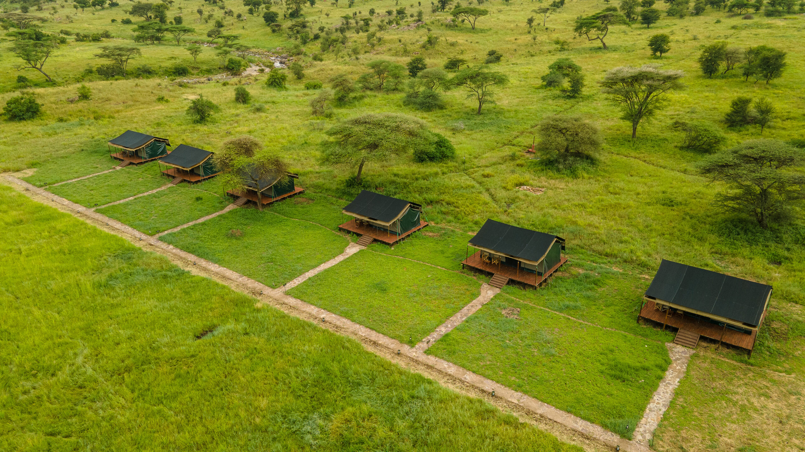 Central Serengeti